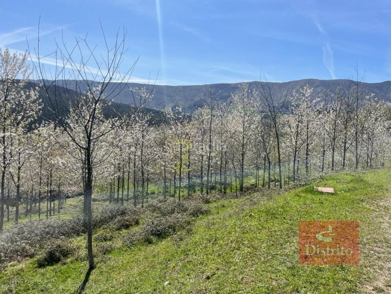 Foto e0ecbbe0-6cb6-4b11-81ba-0db6687d577f. Finca rústica a Valdáliga