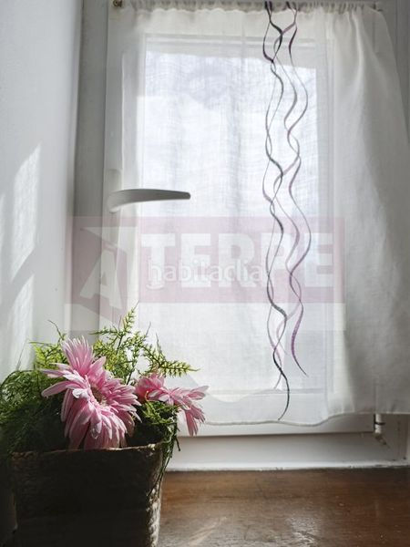 Foto 9e146967-787e-4dca-8366-58b50923a786. Pis a Pasaia