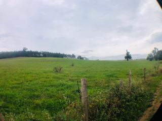 Fondo rustico in Zurita