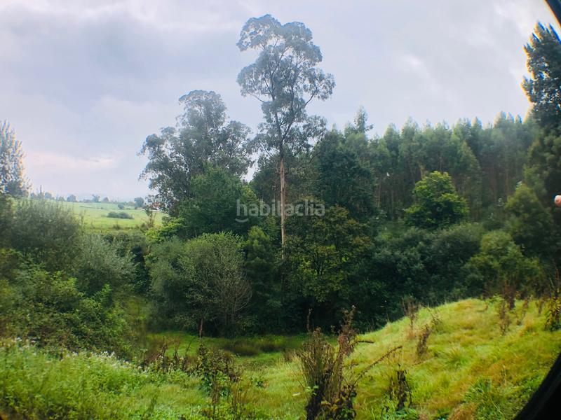 Foto ade41ab8-4b34-44eb-9325-0bc2b19b31e8. Finca rústica en Zurita Piélagos