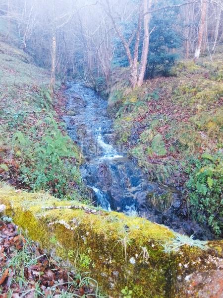 Foto 19d7d15f-c553-4112-82ec-e478570c2074. Casa a Rionansa