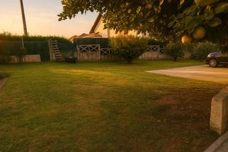 Miete Etagenwohnung in Polanco