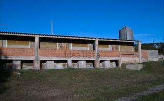 Lloguer Nau industrial a Oristà. Espectacular granja