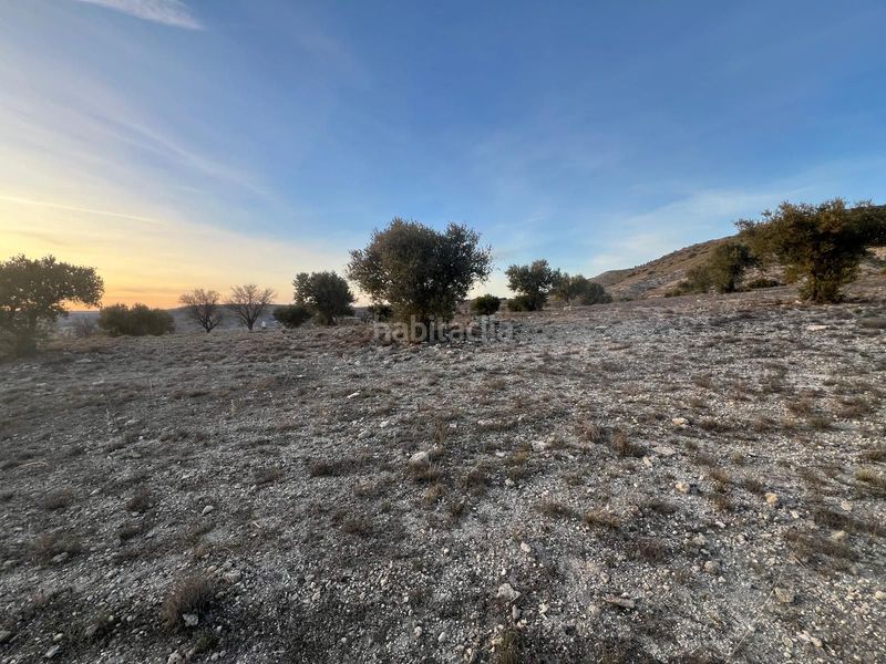 Foto 0179a13f-50c1-4b7d-b9a2-4aff1b4e9704. Finca rústica a Carabaña