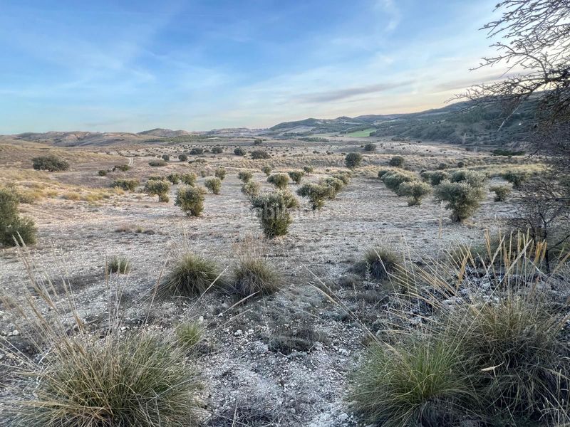 Foto 0c202ae3-8c35-42aa-9caa-8ccfada769f5. Finca rústica a Carabaña