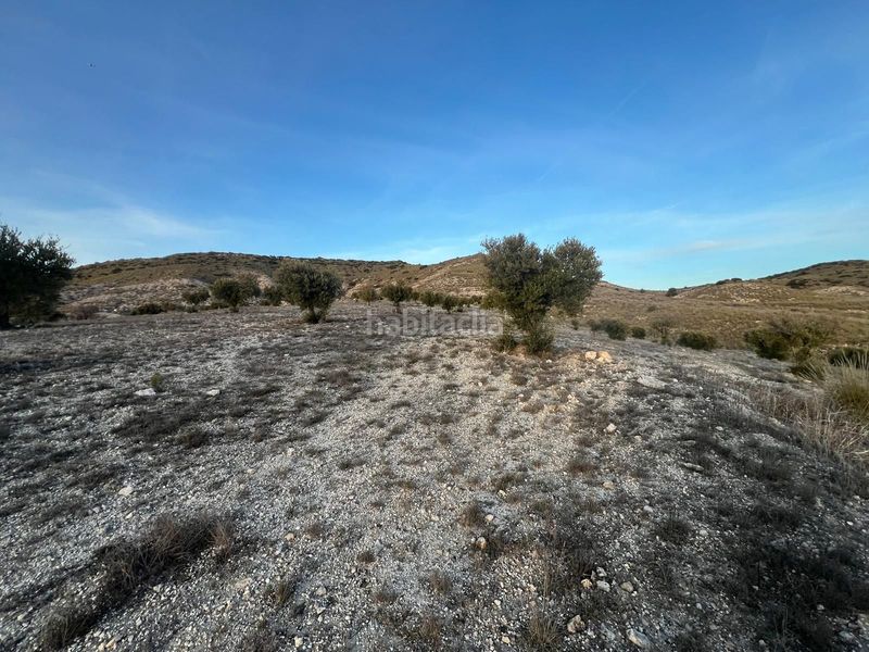 Foto 3cb26020-687e-4374-a0f3-1d66e20d9dad. Finca rústica a Carabaña