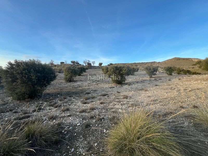 Foto 56c434f3-853b-479a-b5b1-d7c1d88cb098. Finca rústica a Carabaña