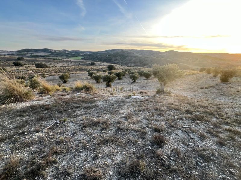 Foto 9f6ee980-ea07-4cf2-bfb8-d4938cffa125. Finca rústica a Carabaña