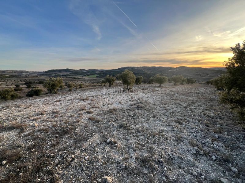 Foto f5e9280d-5bd2-4c7c-9e78-0e99ac9dc4e6. Finca rústica a Carabaña