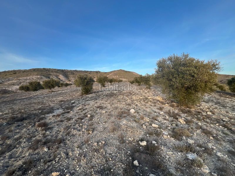 Foto fd0b9cc9-1f98-4431-8c28-a46980f56895. Finca rústica a Carabaña