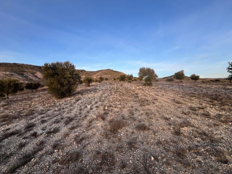 Foto feff4b6e-b0d3-43ca-8668-5b6f877aa39d. Finca rústica a Carabaña