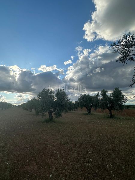 Foto abebf891-0895-41cc-8336-f970e790d578. Finca rústica a Morata de Tajuña