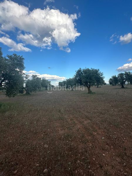 Foto e5162401-5911-4c3a-8c92-d65046238f05. Finca rústica a Morata de Tajuña