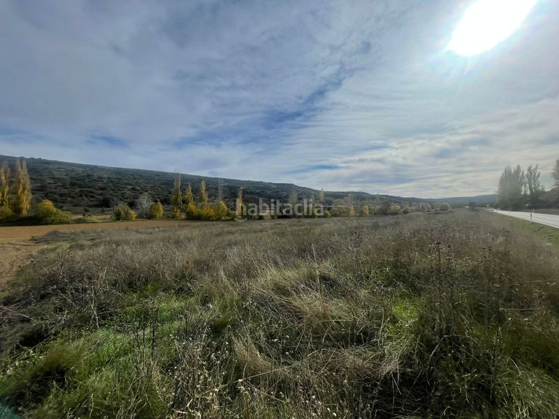 Foto 8dd88716-83d9-499e-ae4a-a0435496d1d5. Finca rústica a Orusco de Tajuña