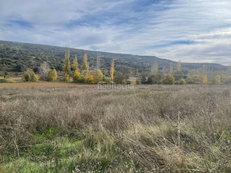 Foto c5a173d6-fc8f-4b6d-9b54-a1cb1b78993e. Finca rústica a Orusco de Tajuña