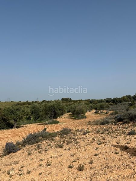 Foto af6fd5e9-762c-444d-aa9c-d52ed73c79ab. Finca rústica a Morata de Tajuña