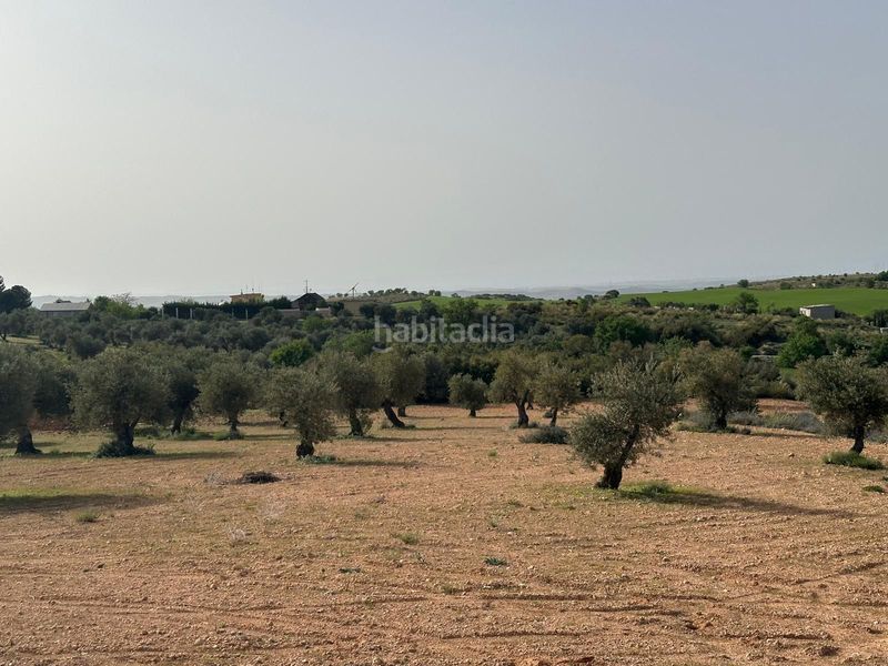 Foto f9931c0d-ec49-4c4d-9a03-c2d646c9dcaf. Finca rústica a Morata de Tajuña