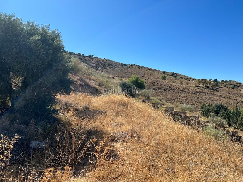 Foto 5e73c948-9a21-4403-ac6f-60b9903ab59b. Finca rústica a Tielmes