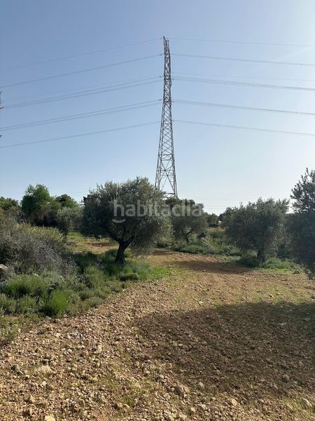 Foto f6991b70-9f73-4505-8b63-86598be3f03b. Finca rústica a Morata de Tajuña