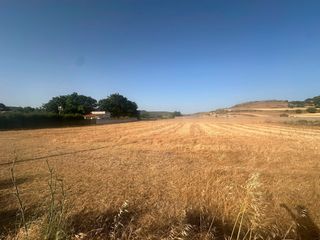 Finca rústica a Chinchón. Inmobiliaria tagonia pone a la venta parcela rústica en chinchón