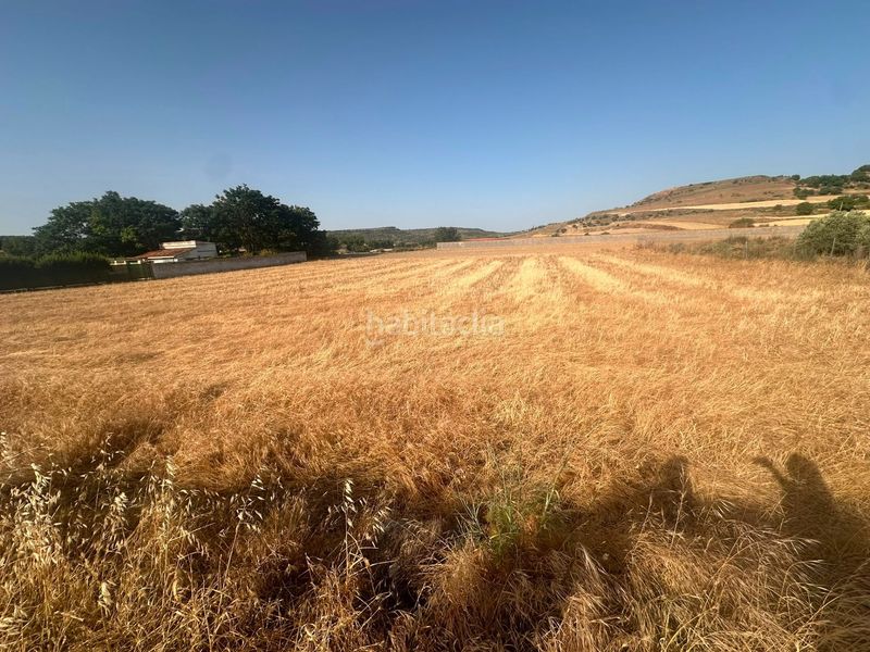 Foto 6df58764-cd9f-4259-98be-582e09829253. Finca rústica a Chinchón