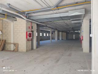 Local commercial à Tolosa