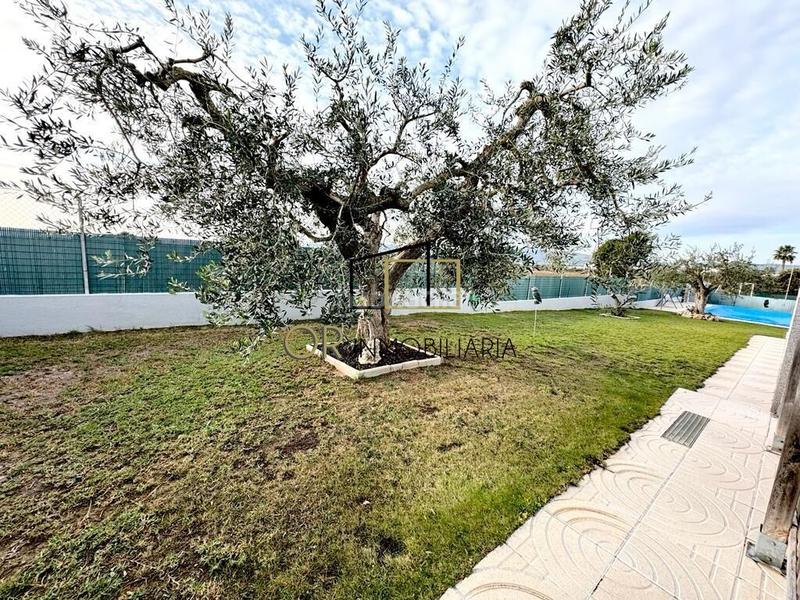 Foto c462fbe3-4202-4ada-be49-48ca29f62f77. Casa  independiente de 4 hab., jardín, piscina, garaje y barbacoa en el priorat de banyeres en Llorenç del Penedès