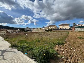 Terreny residencial a Sant Martí Sarroca. Construye la casa de tus sueños en sant martí sarroca