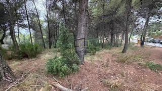 Terreno residenziale in Torrelles de Foix. Parcela urbana de 1.294 m2 en can coral, torrelles de foix