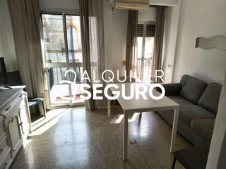 Alquiler Piso  De la cruz roja. Piso av. de la cruz roja sevilla