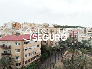 Location Appartement  Poeta carmelo calvo. Piso av. poeta carmelo calvo alicante