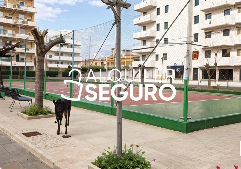 Foto c6bfb849-3509-48e7-85d6-a9195585aa3e. Miete studiowohnung mit pool in Costa Sur Peñíscola