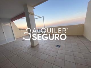 Lloguer Pis  La nit. Piso c la nit mutxamel