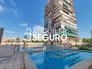 Lloguer Pis  De niza. Piso av. de niza alicante