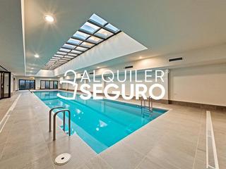 Alquiler Loft  Fuerteventura. Loft c fuerteventura  san sebastián de los reyes