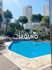 Lloguer Estudi  De parís. Estudio av. de parís benidorm