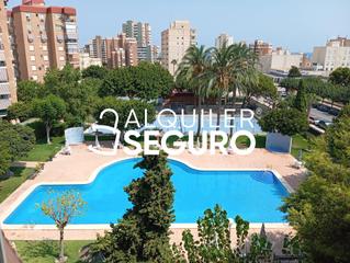 Alquiler Piso  Ausiàs march. Piso av. ausiàs march el campello