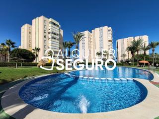 Location Appartement  Músico juan latorre baeza. Piso c músico juan latorre baeza alicante