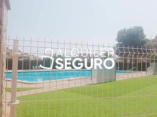 Lloguer Estudi  Perseo. Estudio c perseo torrevieja