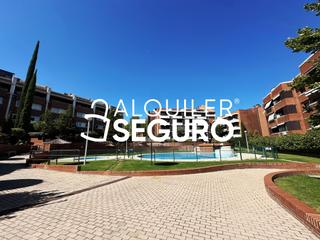 Alquiler Piso  Grecia. Piso c grecia pozuelo de alarcón