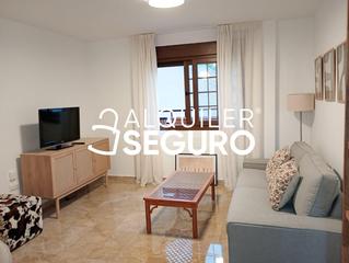 Affitto Appartamento  Hurtado de mendoza. Piso c hurtado de mendoza málaga