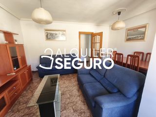 Alquiler Piso  De don pedro de luna. Piso c de don pedro de luna zaragoza