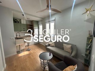 Lloguer Pis  Linneo. Piso c linneo madrid