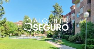 Rent Flat  Arizónica. Piso c arizónica  las rozas de madrid