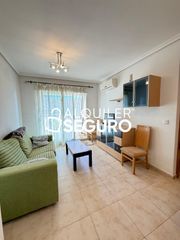 Rent Flat  Central. Piso av. central orpesaoropesa del mar