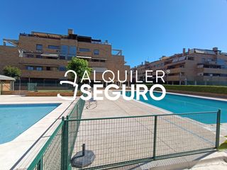 Lloguer Pis  Sistema solar. Piso av. sistema solar parla