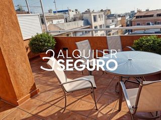 Lloguer Pis  Dr coll del. Piso c dr coll del benicarló