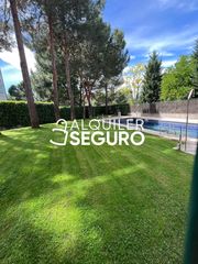 Location Appartement  Samaniego. Piso c samaniego madrid