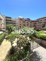 Miete Etagenwohnung  Manuel hernández mompo. Piso c manuel hernández mompo pinto