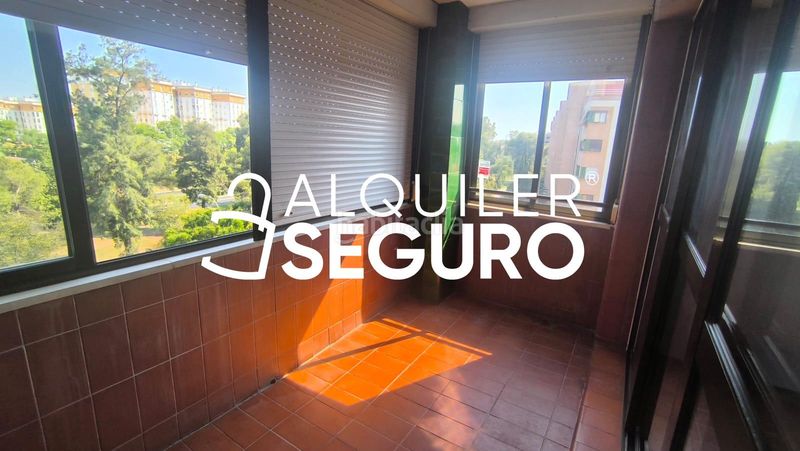 Foto f56d4508-ee64-4b1d-9be7-688f5178d90d. Alquiler piso  av. alcalde luis uruñuela en colores - entreparques Sevilla